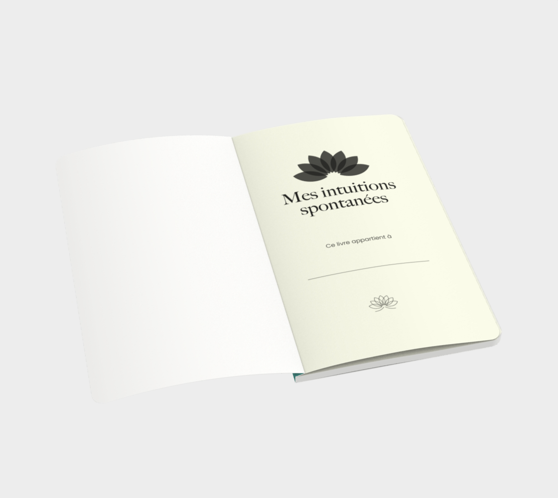 Cahier de note - Mes intuitions spontannées
